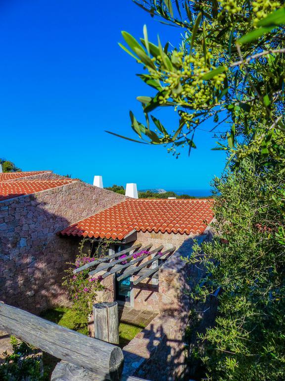 Rena Village رينا ماجور المظهر الخارجي الصورة