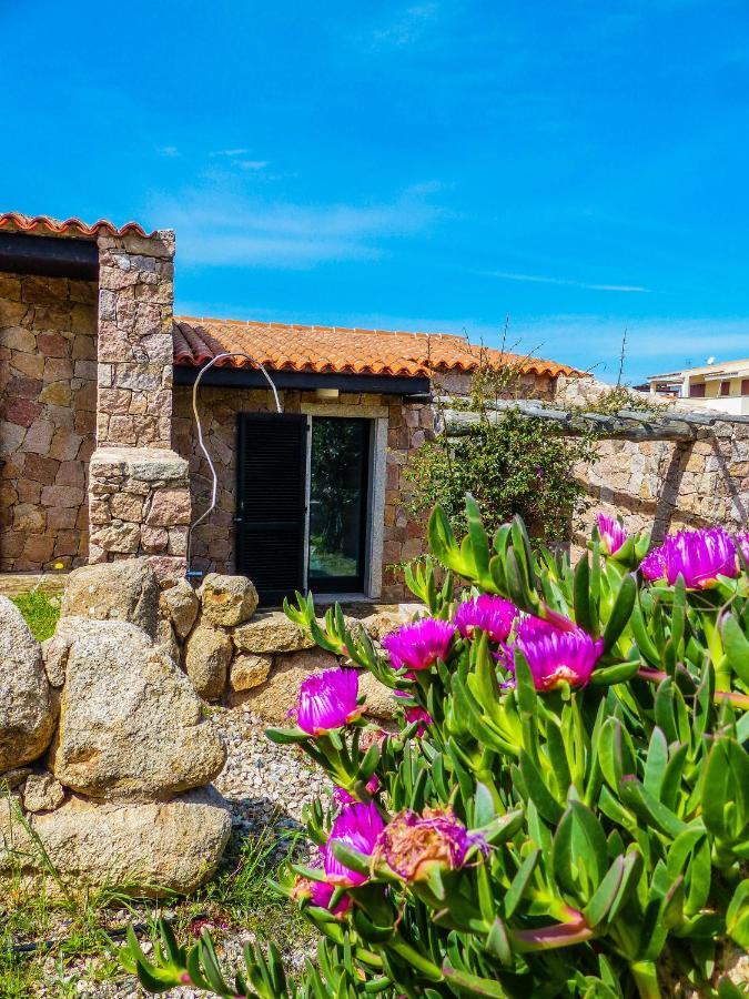 Rena Village رينا ماجور المظهر الخارجي الصورة